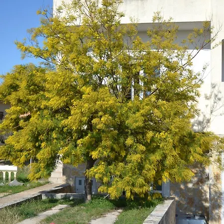 Bacic Appartamento Zara